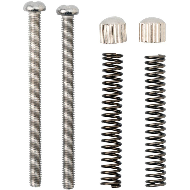 Surly Cross Check Frame Replacement Dropout Screws Silver